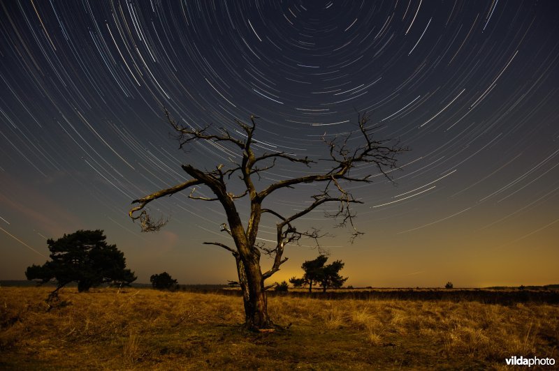 Nachtelijk landschap op de Worth-Rheder Heide