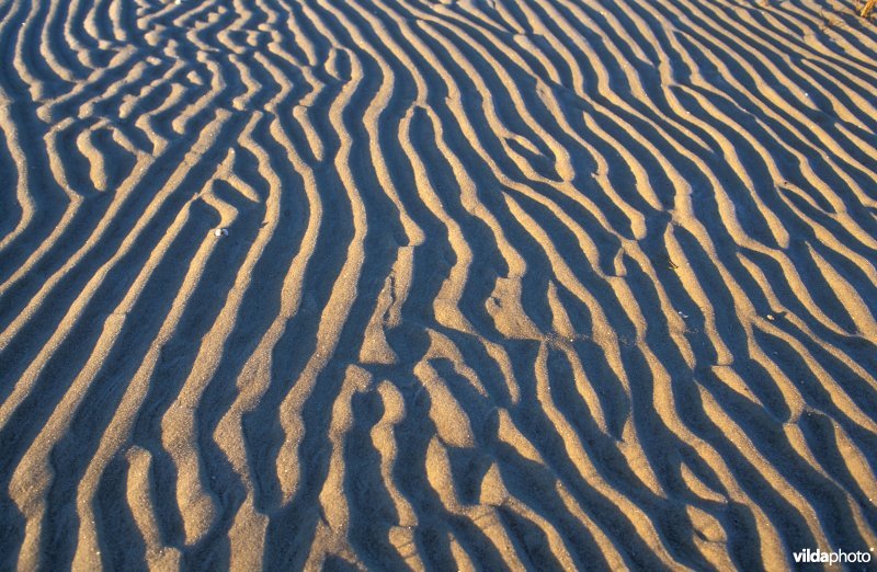 Strandpatronen in Zeeland