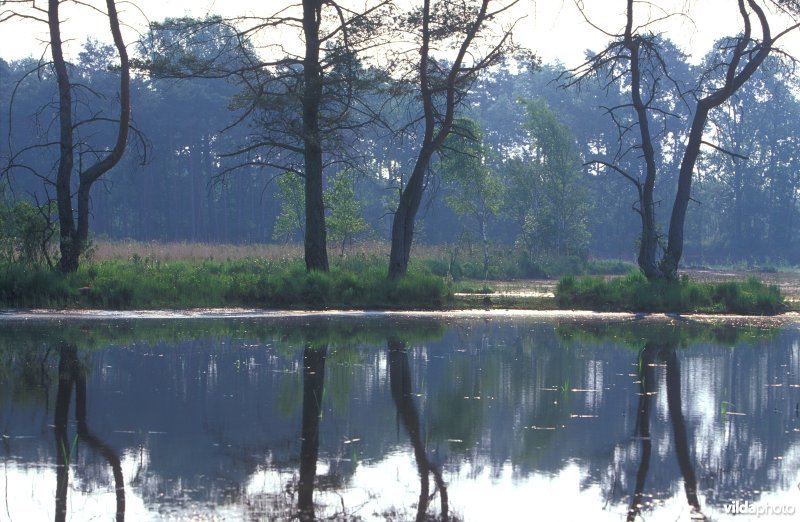 Natuurreservaat Buitengoor