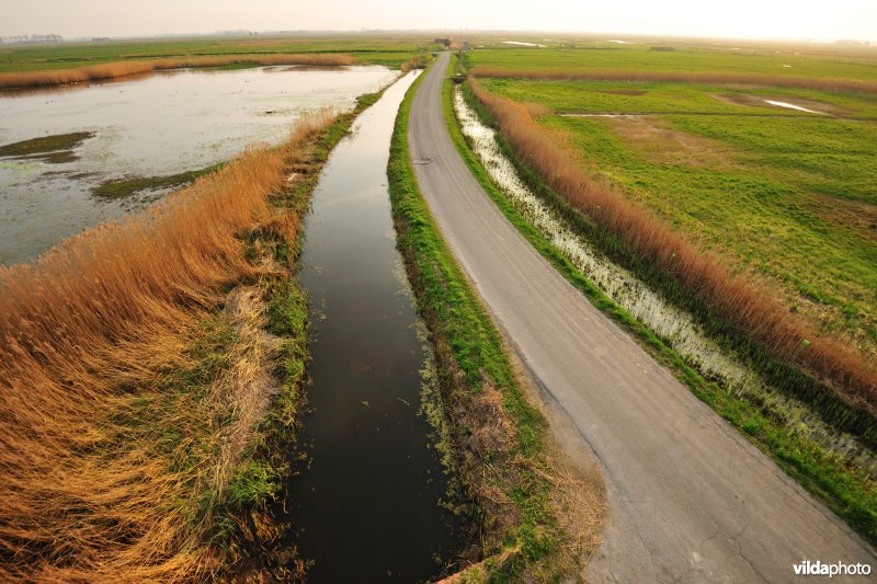 Uitkerkse Polders