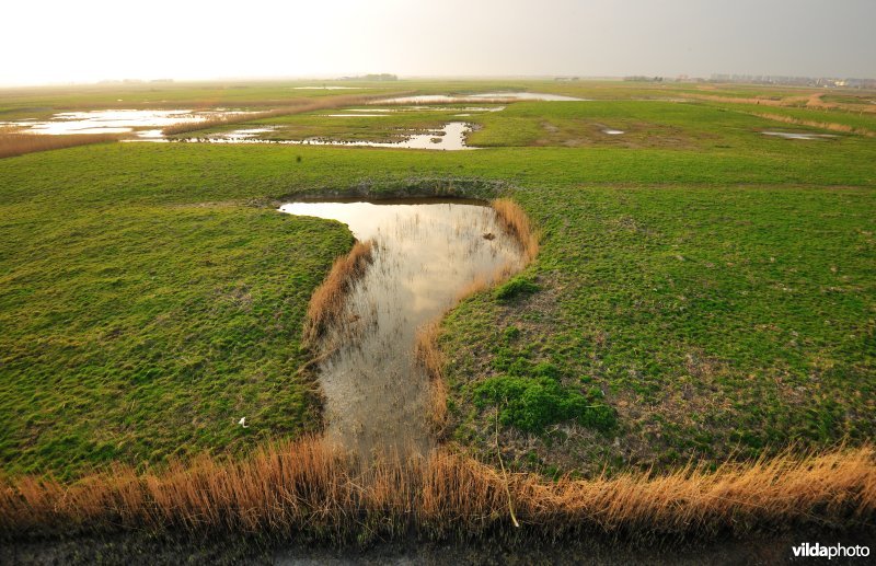 Uitkerkse Polders