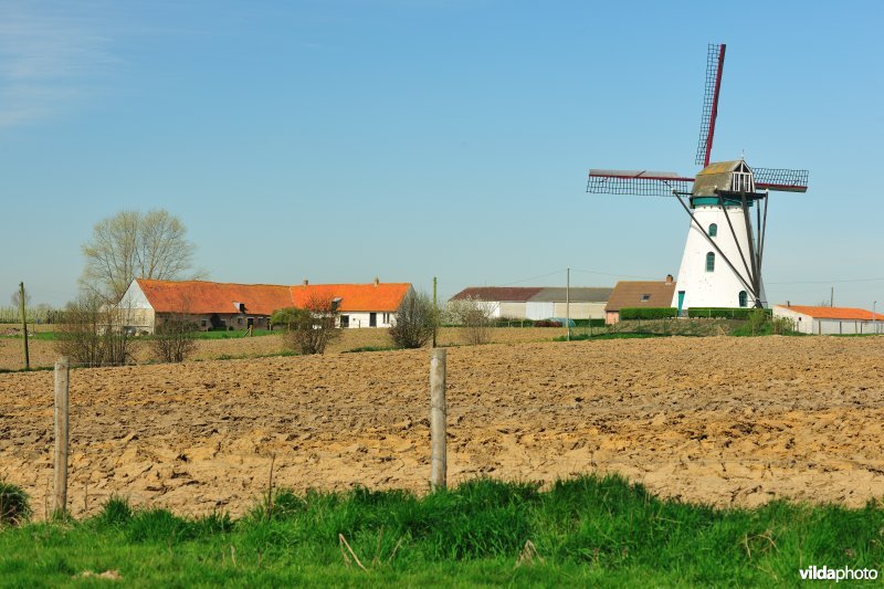 Brouckmolen