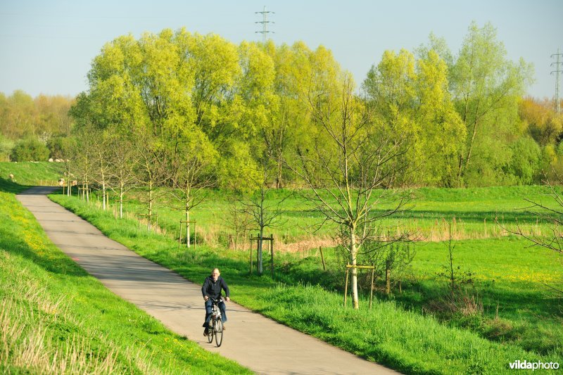 Weijmeerbroek