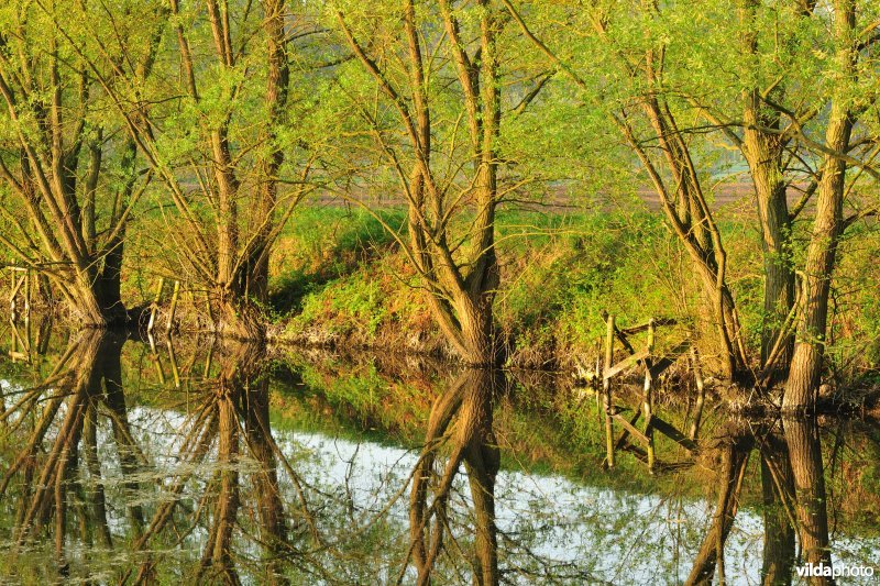 Dijlevallei: Hollaken - Hoogdonk Deel 1