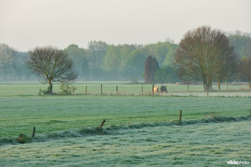 Dijlevallei: Hollaken - Hoogdonk Deel 2