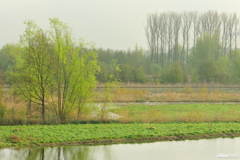 KBR polder