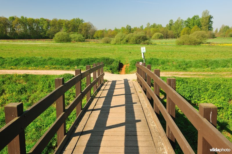 Voetgangersbrug over de Grote Nete