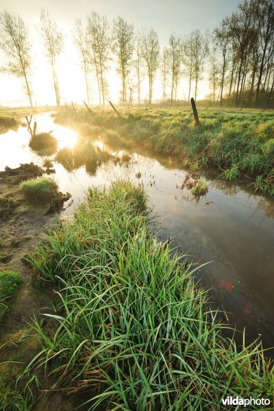 KBR polder