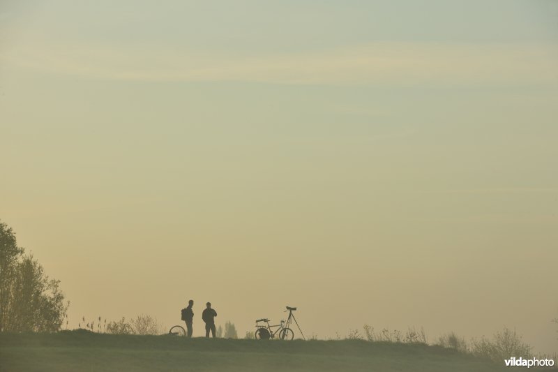 Vogeltrektellers op de Scheldedijk