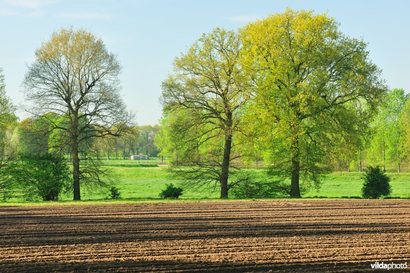 Vallei van de Grote Nete