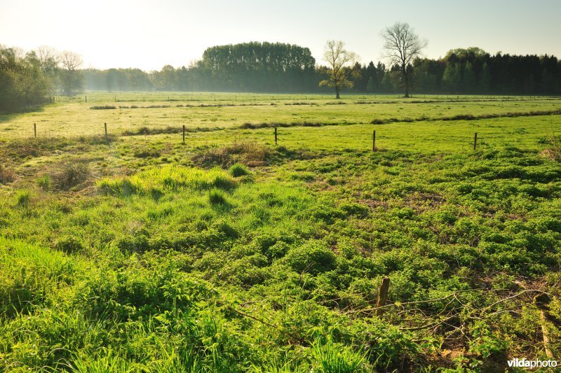 Vallei van de Grote Nete