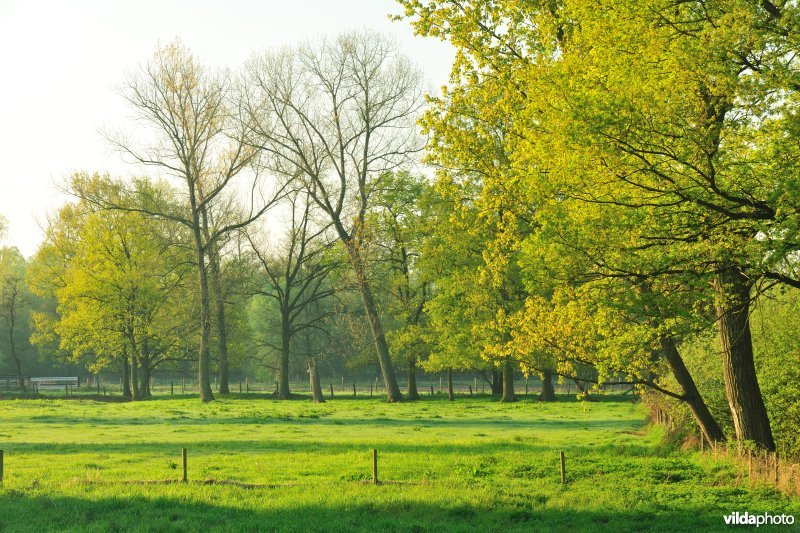 Vallei van de Grote Nete