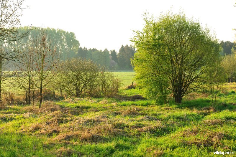 Vallei van de Grote Nete