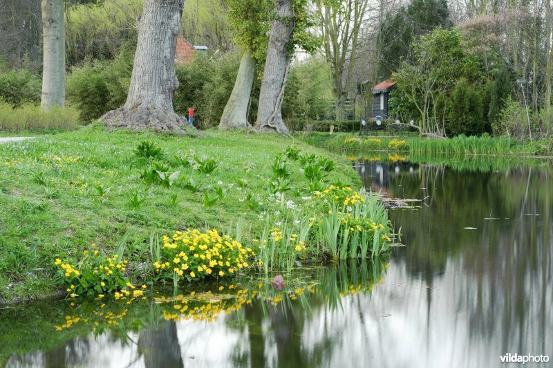 Landgoed Elswout
