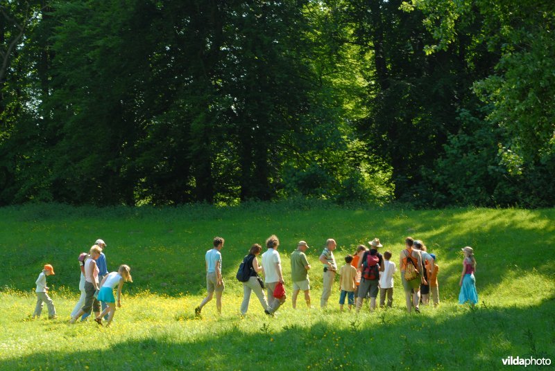 Excursie in landgoedbos