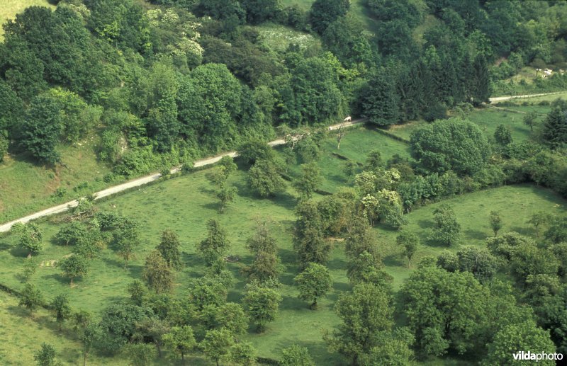 Luchtfoto van de Sintpietersberg