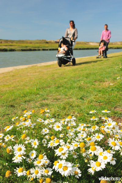 Wandelen in Het Zwin