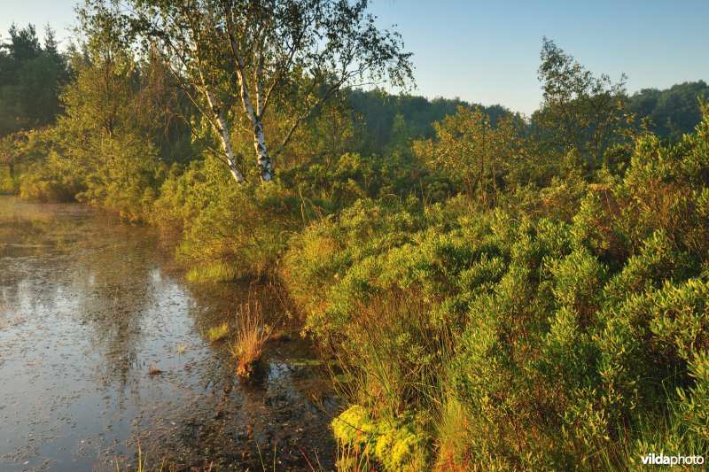 Natuurreservaat De Teut