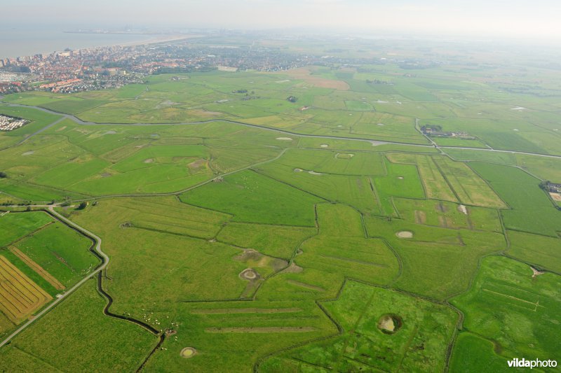 Uitkerkse Polders