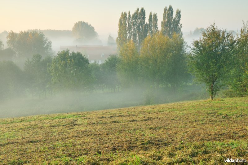 Het Orveytbos