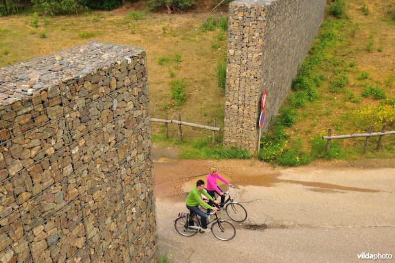 Fietsers aan de Mechelse Heide