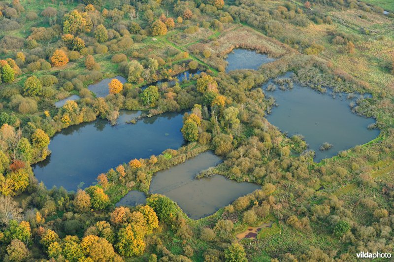 Het Zammelsbroek