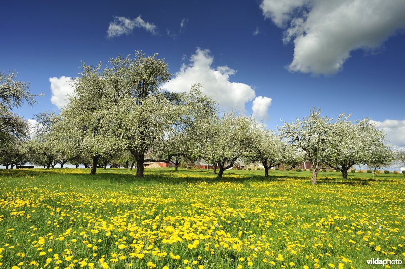 Vallei van de Biebrza