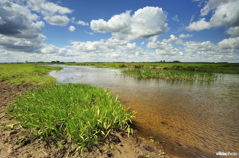 Vallei van de Biebrza