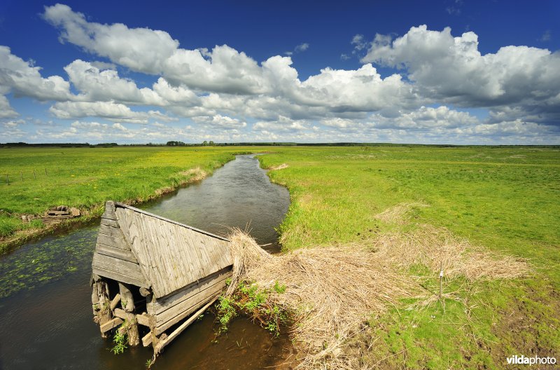 Vallei van de Biebrza