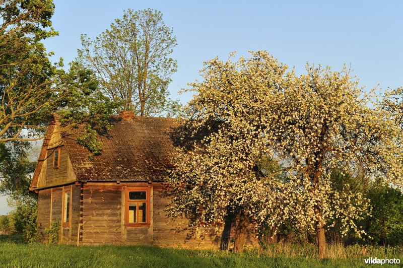 Huis in de vallei van de Biebrza