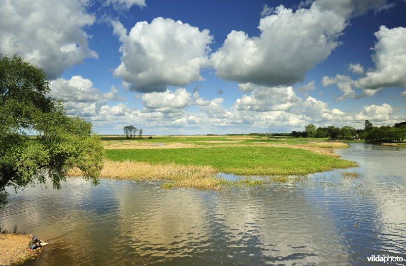 Vallei van de Biebrza