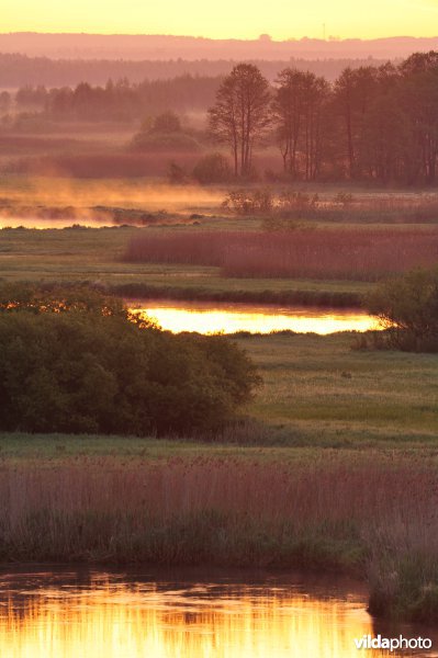 Vallei van de Biebrza