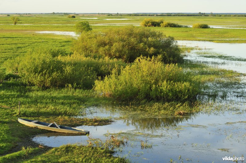 Vallei van de Biebrza