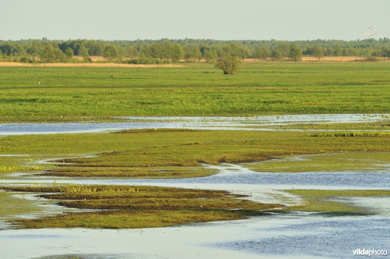 Vallei van de Biebrza