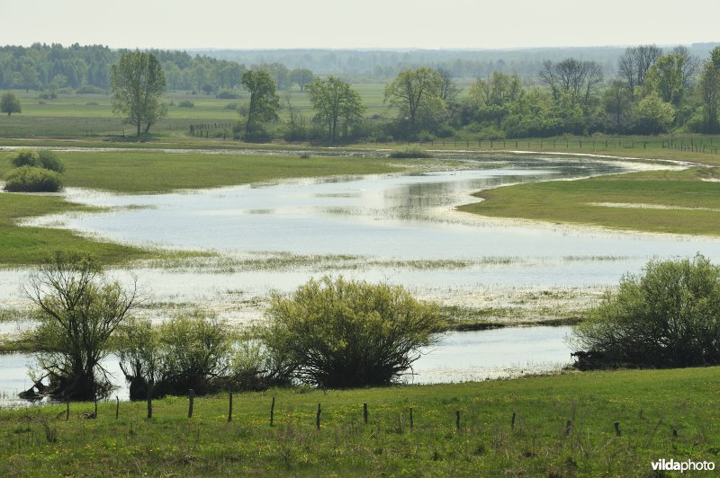 Vallei van de Biebrza