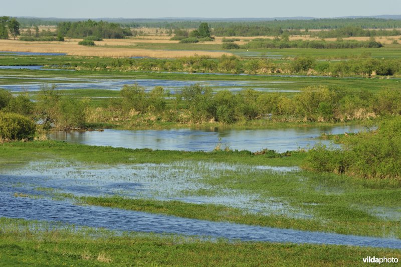 Vallei van de Biebrza