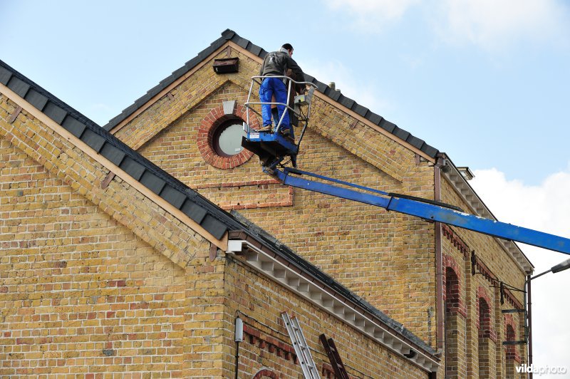 Ophangen van zwaluw-nestkasten