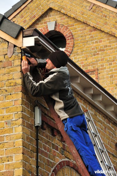 Ophangen van zwaluw-nestkasten