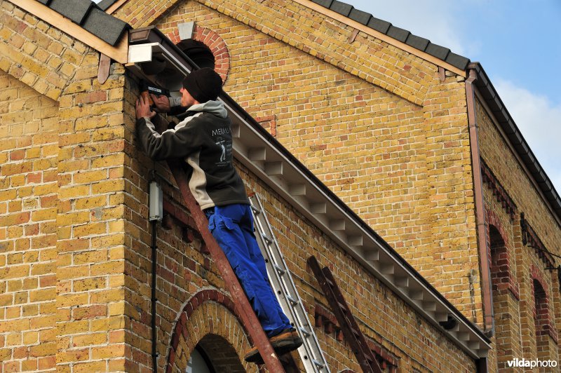 Ophangen van zwaluw-nestkasten