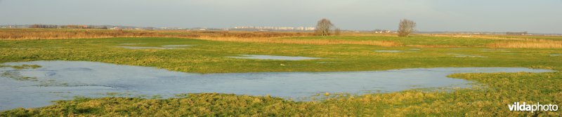 Uitkerkse Polders