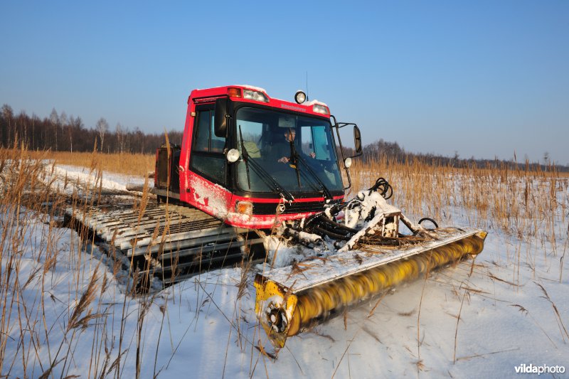 Boomopslag maaien in de Biebrza-moerassen