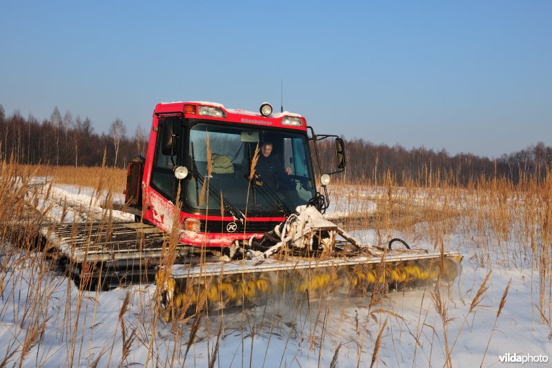 Boomopslag maaien in de Biebrza-moerassen