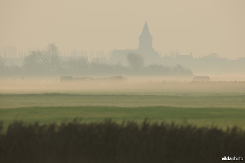 Uitkerkse Polders