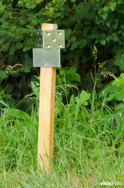 Wildspiegels langs een weg