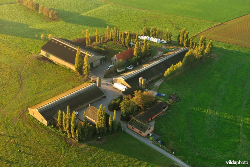 Boerderij