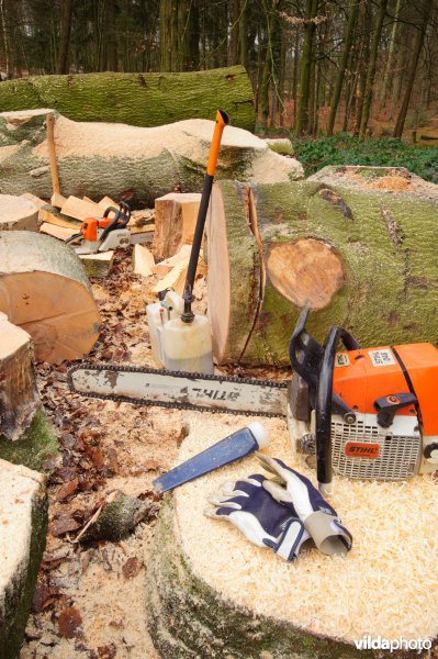 Zaag- en hakgereedschap