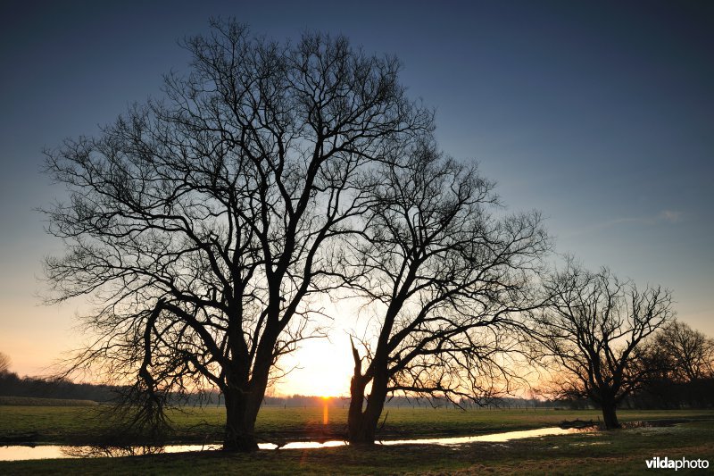 Dijlevallei Hollaken-Hoogdonk