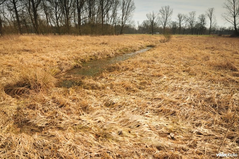 Vallei van de Grote Nete