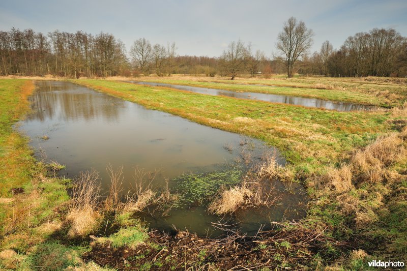 Vallei van de Grote Nete