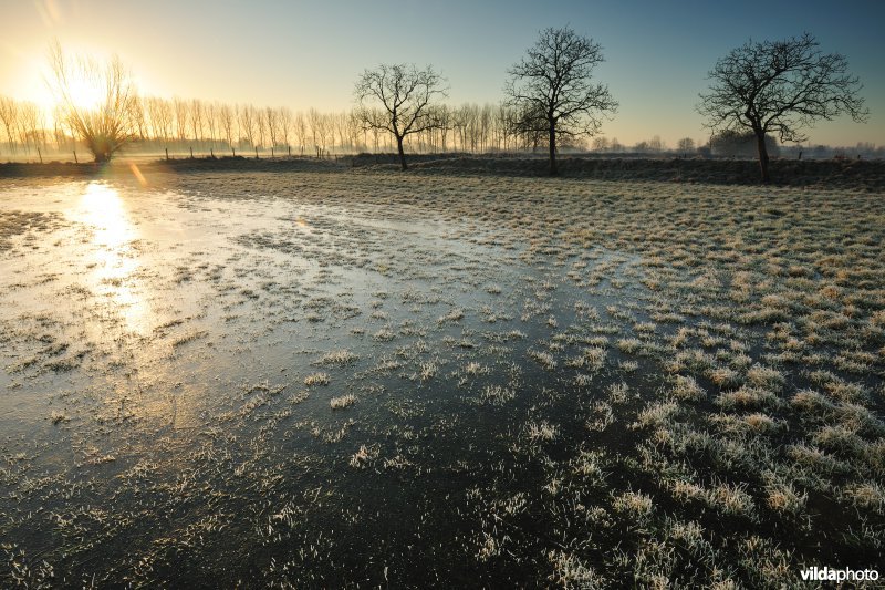 Weijmeerbroek